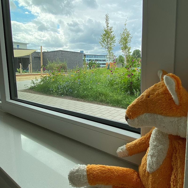  Flügelnuss: Herzlich willkommen: Neuer FRÖBEL-Kindergarten in Münster 
